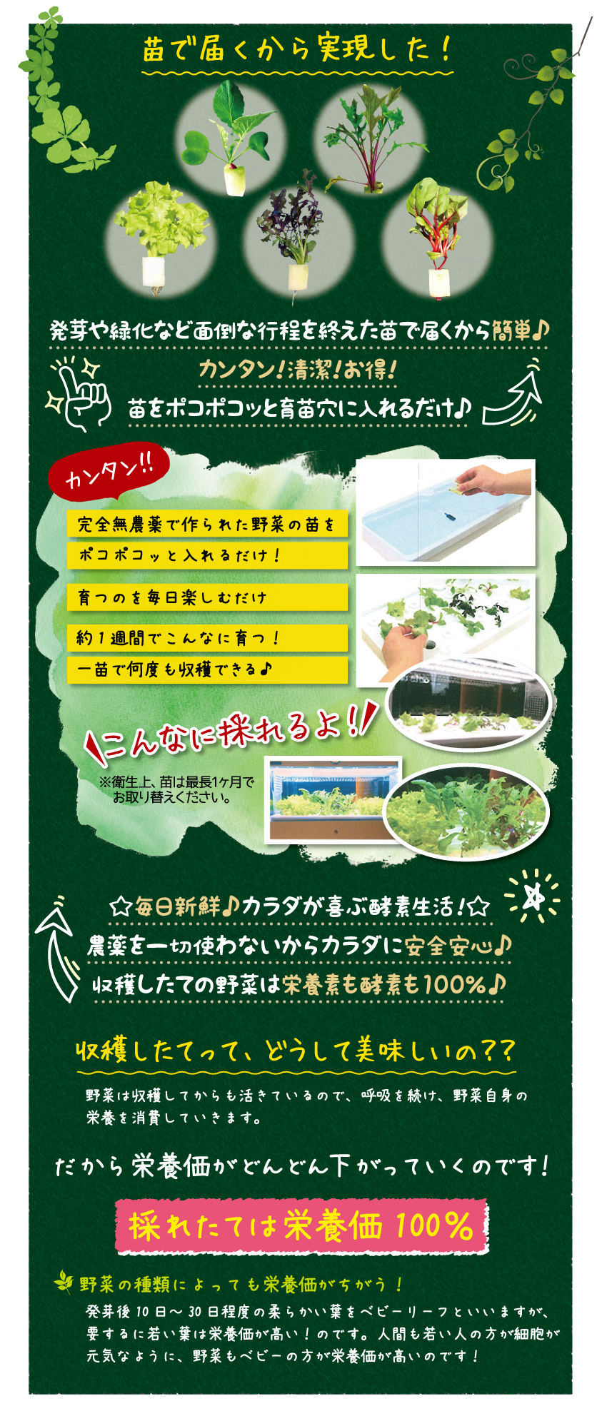 苗で届くから実現