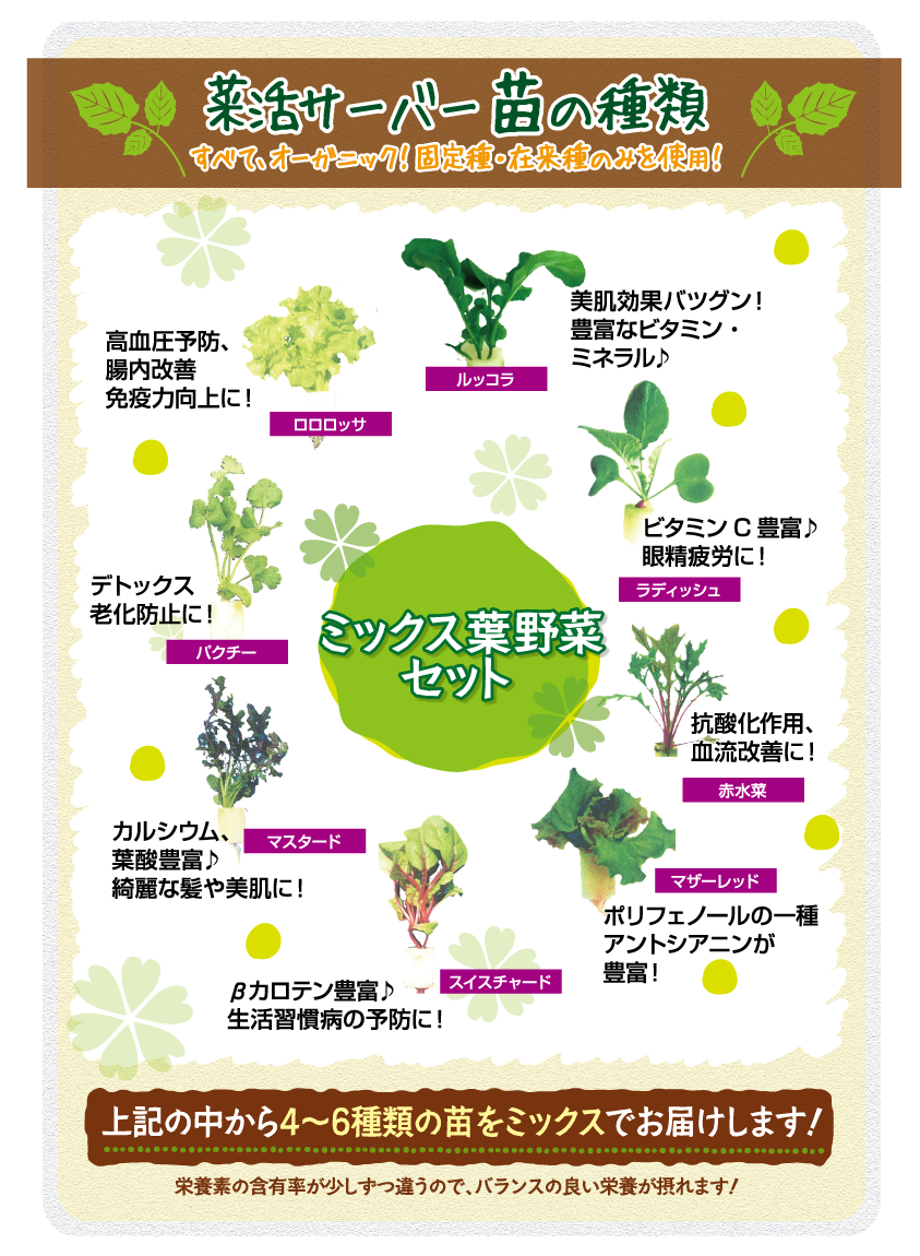 菜活サーバ苗の種類