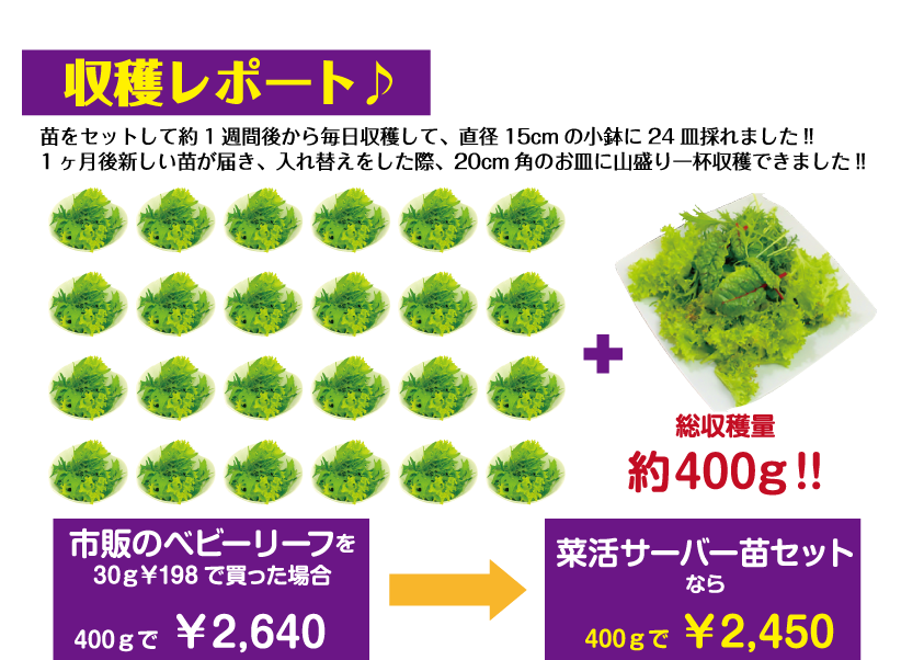 収穫レポート