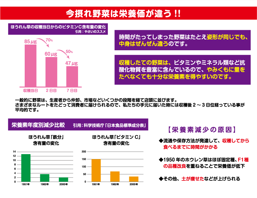 今取れ野菜は栄養価が違う