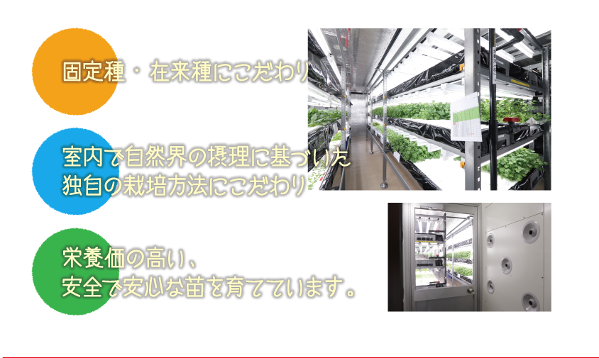 固定種・在来種にこだわり