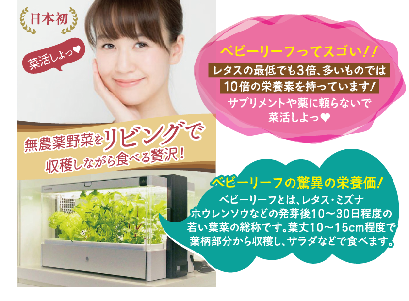 無農薬野菜のリビングで収穫しながら食べる贅沢