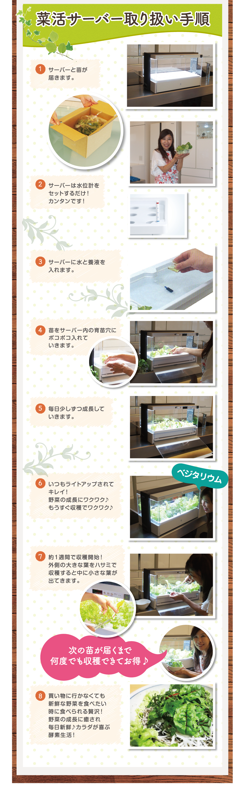 菜活サーバ取り扱い手順